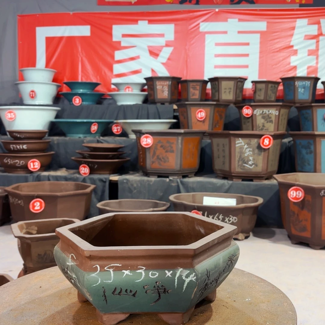 紫砂20CM(含)-50CM(不含)