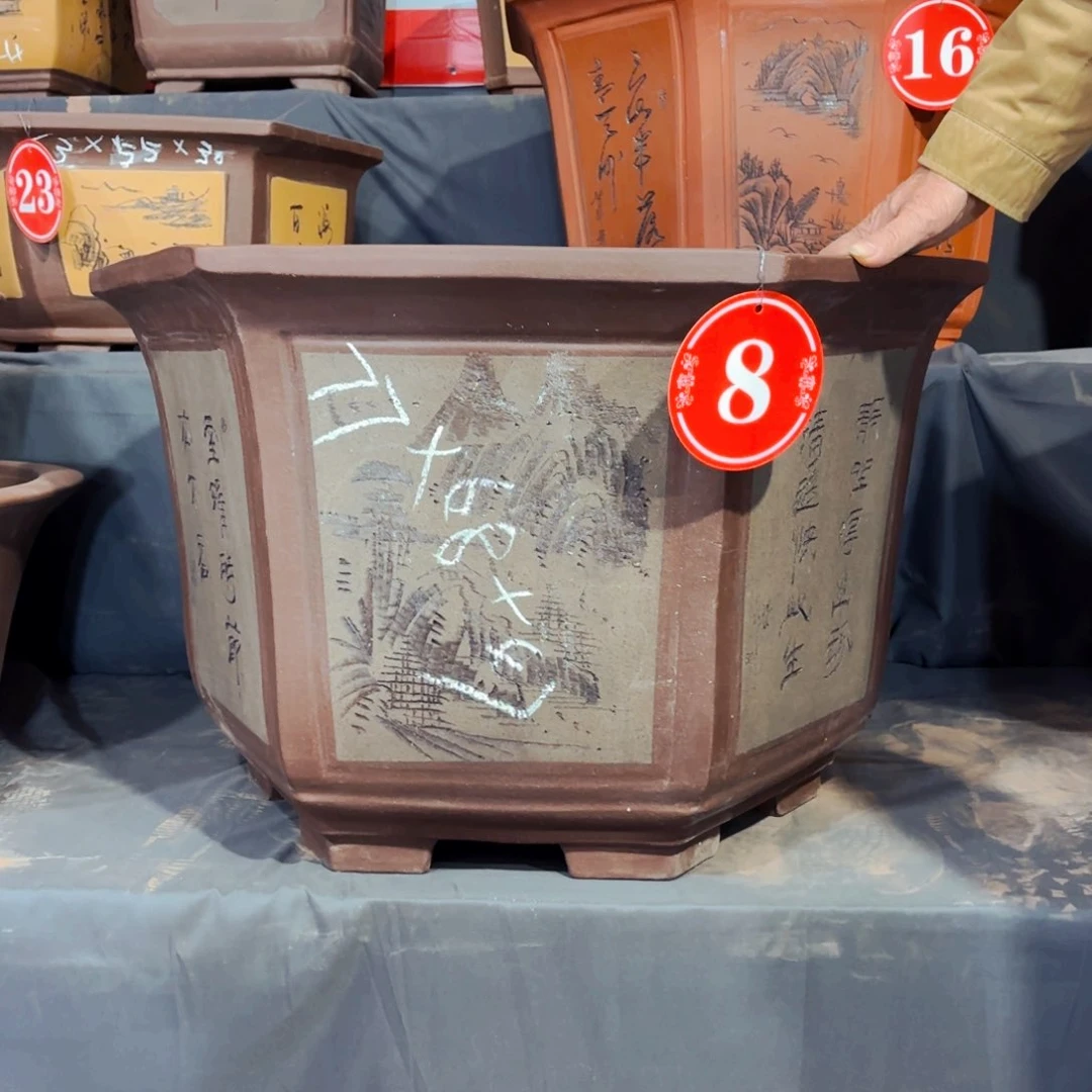 紫砂20CM（含）-50CM（不含）