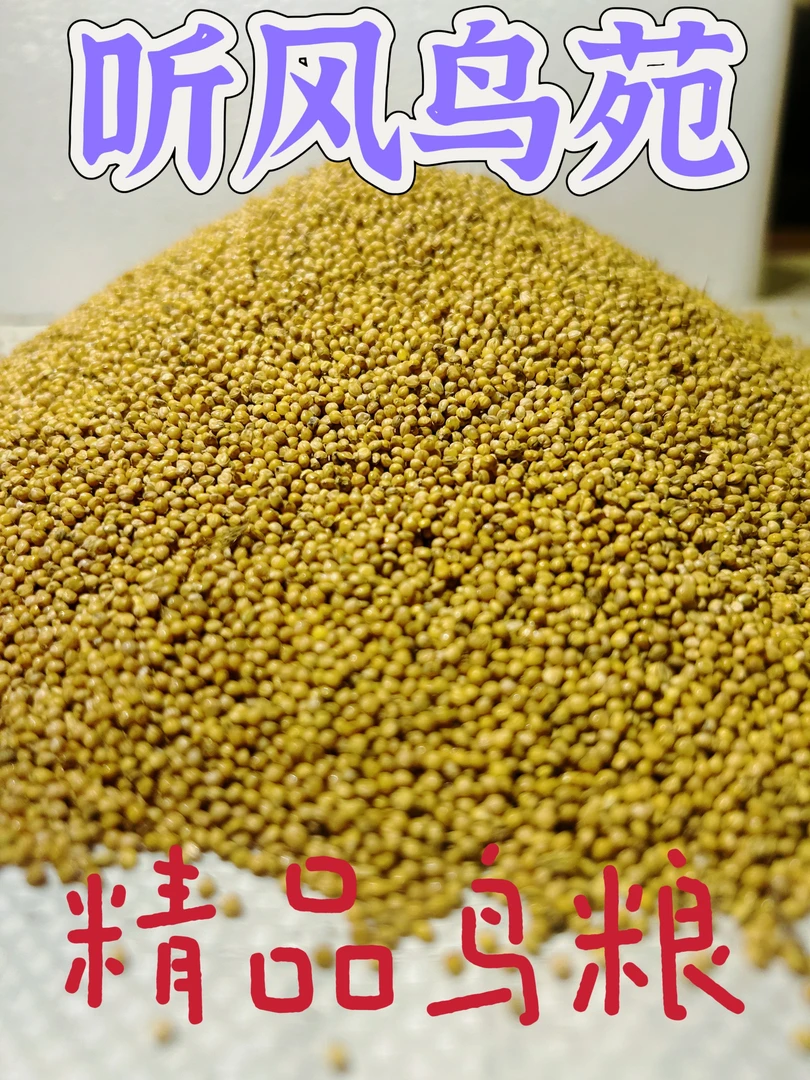 七彩文鸟玄凤牡丹鹦鹉百鸟珍珠带壳黄谷子鸟粮