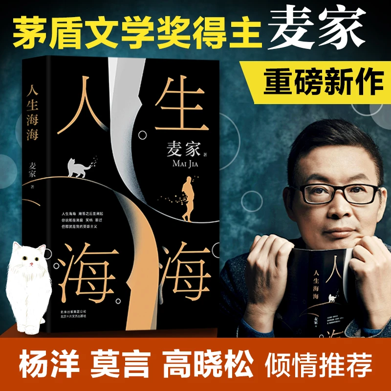 人生海海 麦家茅盾文学奖得主风声解密作者 年度中国小说文学书籍