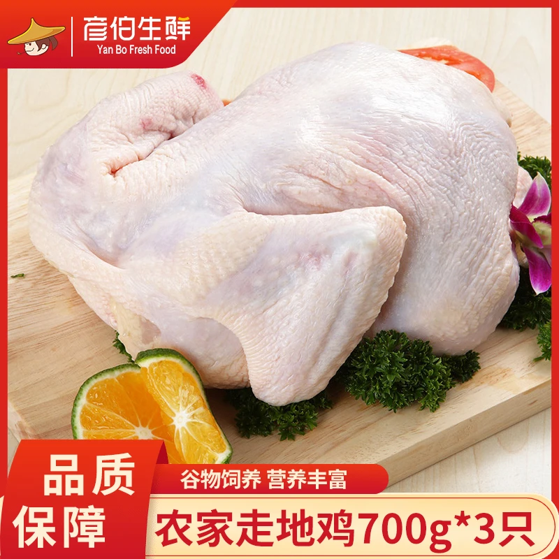 彦伯山东农家走地鸡土鸡净膛700-750g/只 拍一发3只鸡肉鲜嫩新鲜