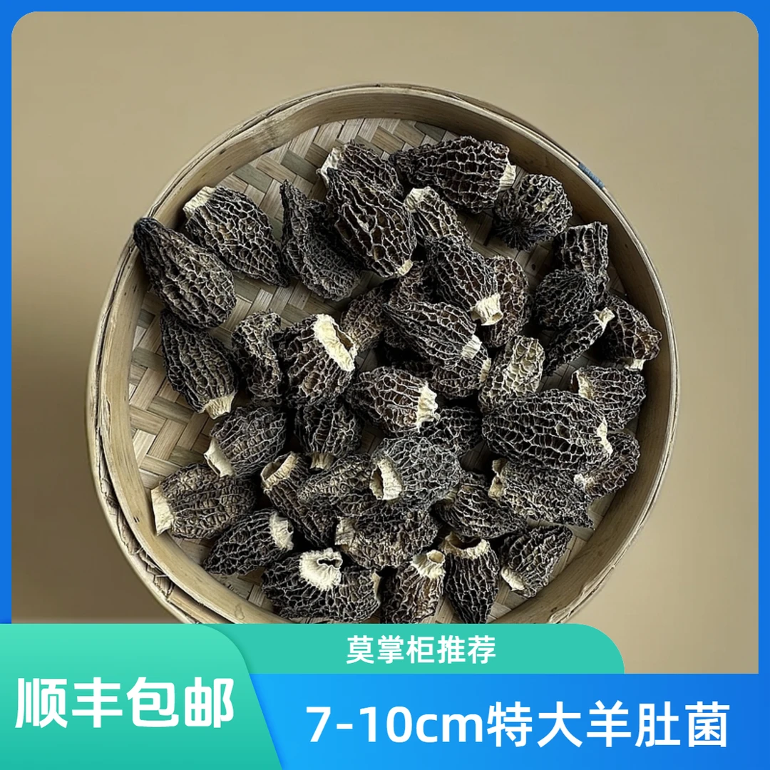 【精品头茬】西藏头茬羊肚菌干货干羊肚菌100%正宗肉质肥厚煲汤佳品