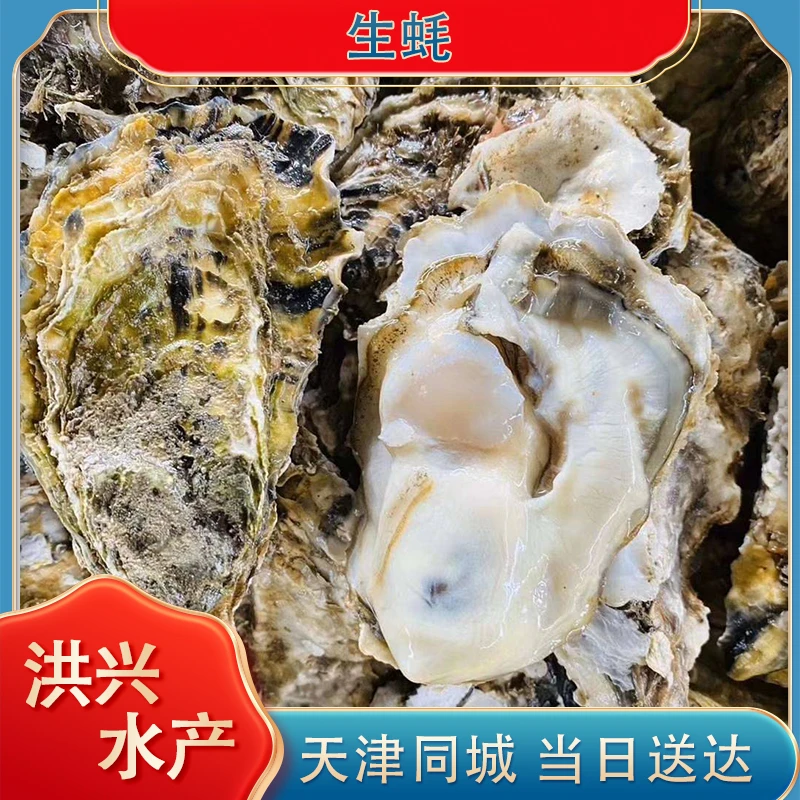 生蚝/蟹爪 混搭 洪兴水产 天津当天达