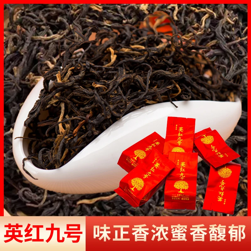 【福利款】满叶红红茶 广东红茶 英红九号 英德红茶10*6g 蜜香