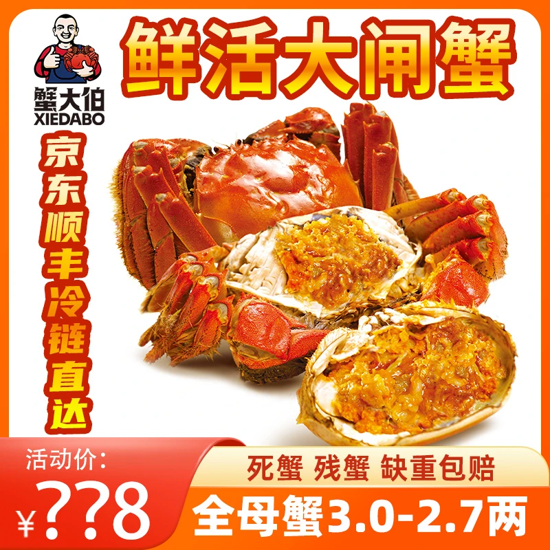 【活蟹】蟹大伯苏州精品大闸蟹3.0-2.7两全母蟹10只+2只！ 到手12只！
