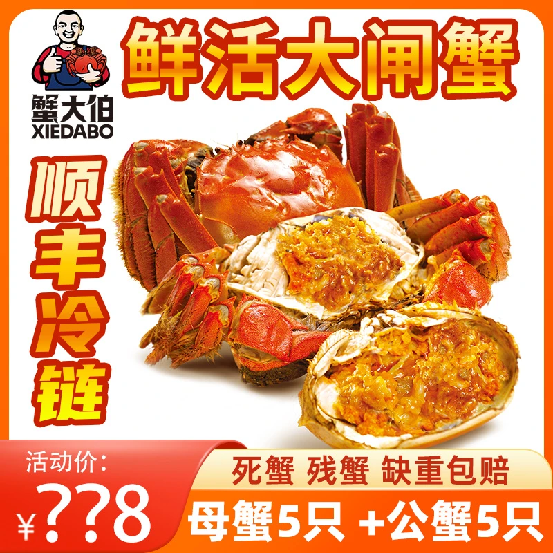 【活蟹】蟹大伯精品大闸蟹公3.3-3.0两+3.0-2.7两母五对共10只