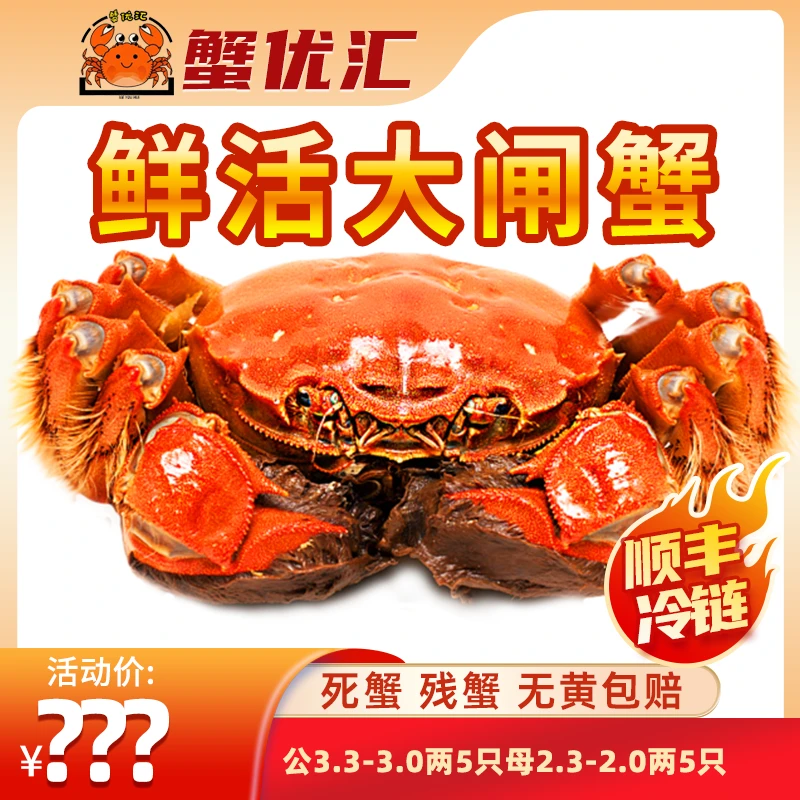 【活蟹】蟹优汇苏州精品大闸蟹公3.3-3.0两 五只+2.3-2.0两母 五只