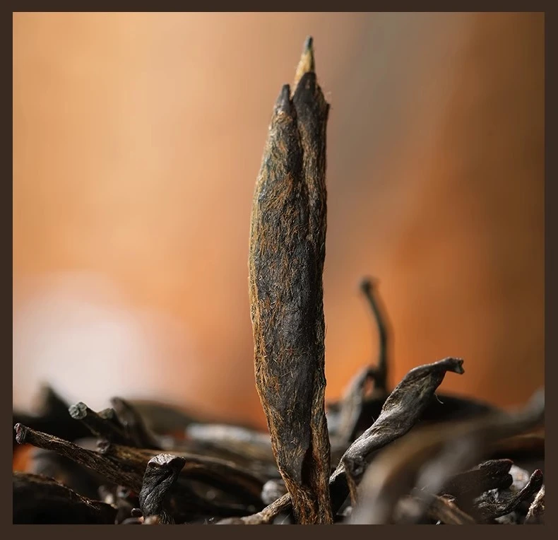 【梅占芽】 金骏眉红茶茶叶特级武夷山500克/罐