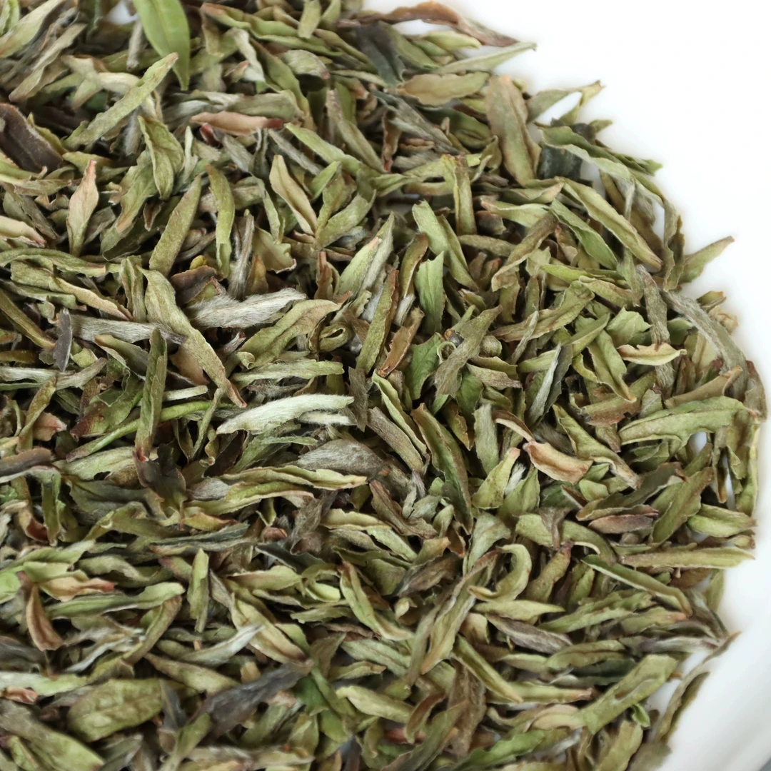 小雨福利【金枝玉叶】2022年福鼎太姥山银针鱼叶寿眉500克/箱