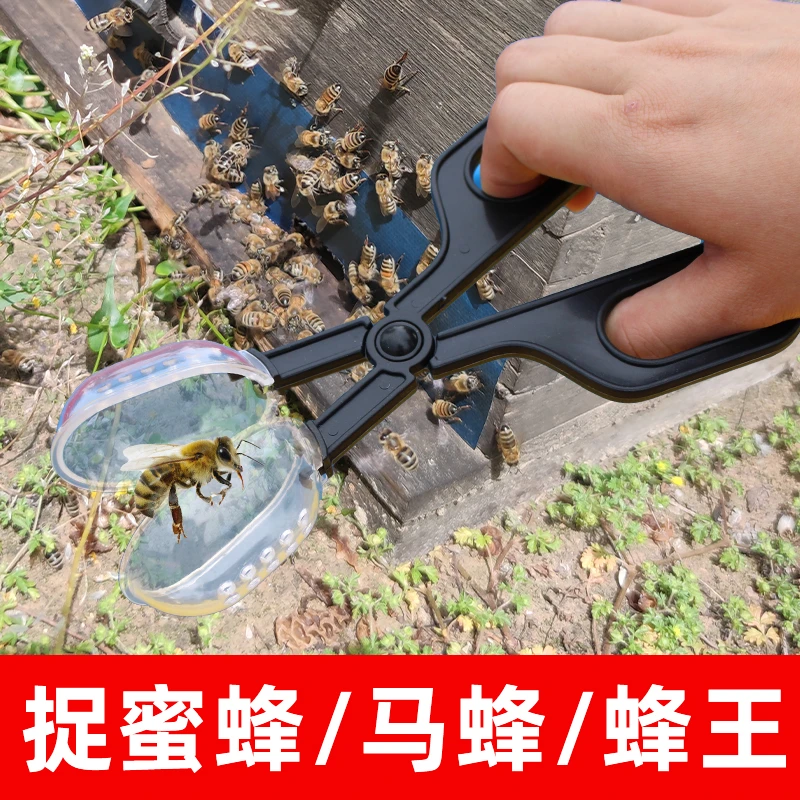捕蜂夹中蜂捕王器 捉蜂王抓捕蜂网收蜂养蜂捕蜂器捕王夹专用工具