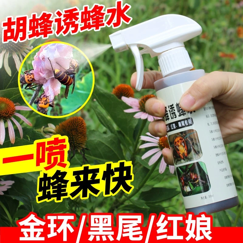 胡蜂诱蜂水野外招马蜂金环红娘大黑黄腰黑尾引蜂水马蜂服捕蜂工具