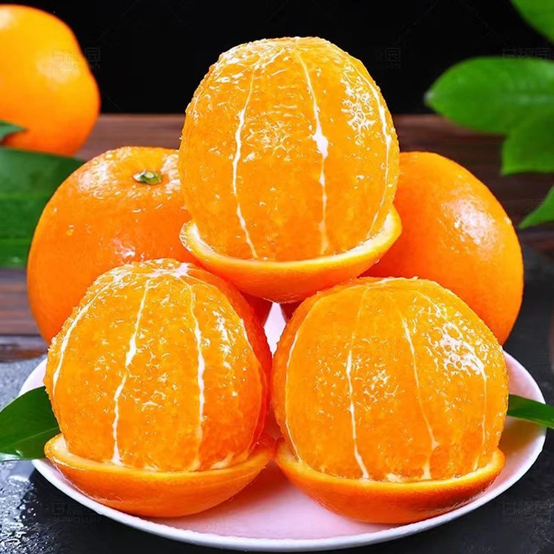 江西赣南（早橙）脐橙当季新鲜水果整箱乡村荒野求生橙子赣南脐橙