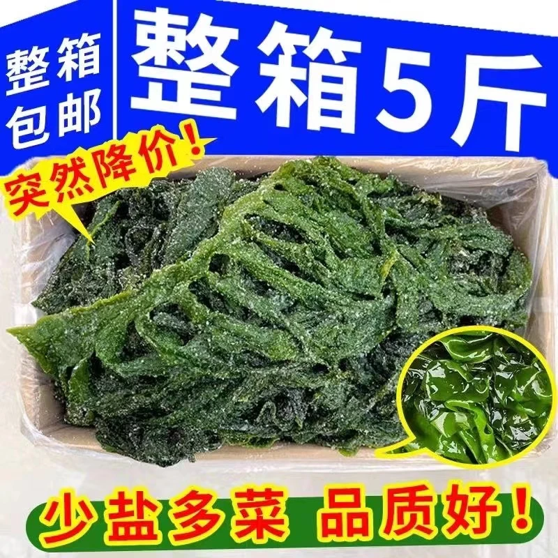 盐渍裙带菜海白菜海藻菜海带裙带菜凉拌菜麻辣烫火锅食材产地直供