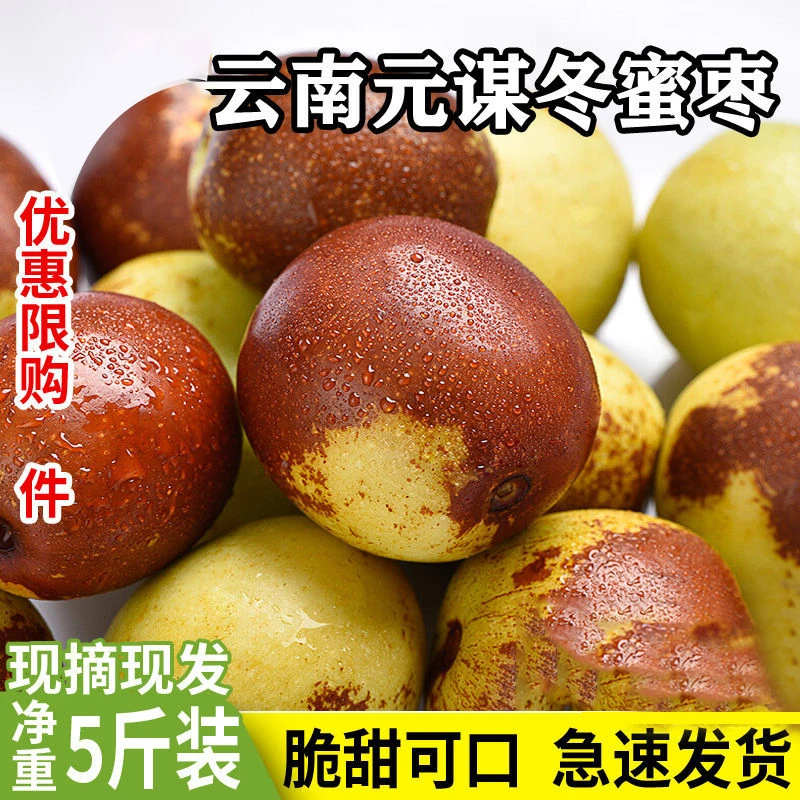 彝蓓朵云南农家新鲜脆甜3斤应季新鲜水果5斤2斤现摘爆汁冬枣枣子