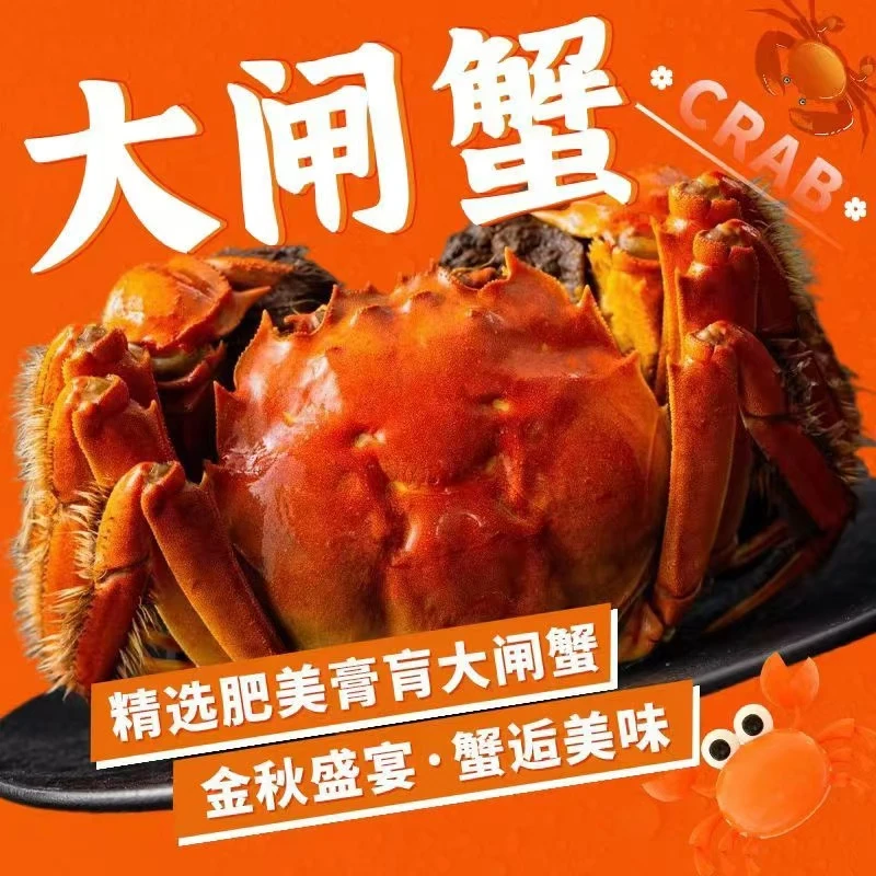 L苏州阳澄湖镇大闸蟹，5.0两公蟹+4.0两母蟹5对10只装阳澄湖镇配送