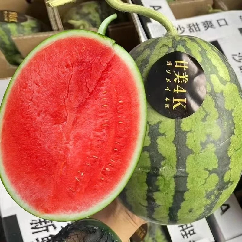 【坤哥粉丝福利】新鲜西瓜半个装