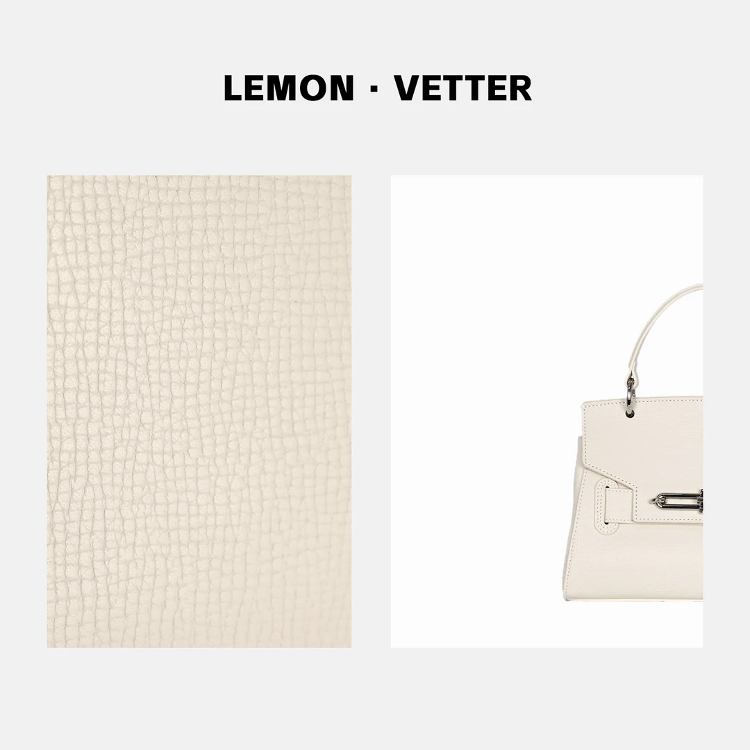 【大周专属】雷蒙威特2023时尚秋冬女士手提包单肩包ZB049