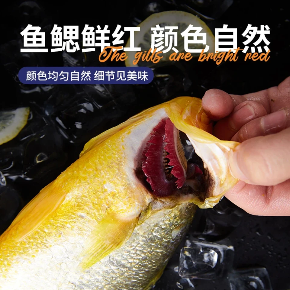 优选舟山深海大黄鱼 6-8两/条 现捕现发 味道鲜美好吃