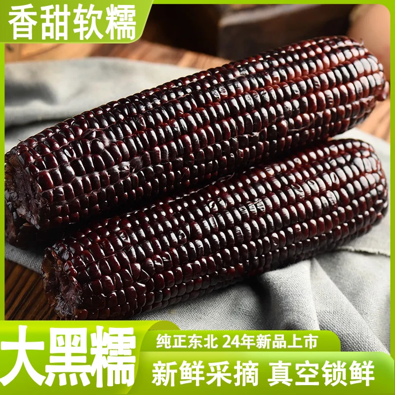 24年头茬东北香甜黑糯玉米8根装wt黑玉米香甜软糯花青素