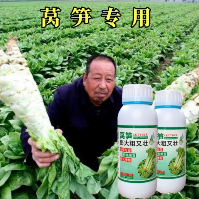 【莴笋】生根壮苗膨大增粗拉长拉直增产增白叶面肥