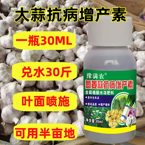 大蒜猛长大蒜增产干尖软腐病膨大营养叶面肥