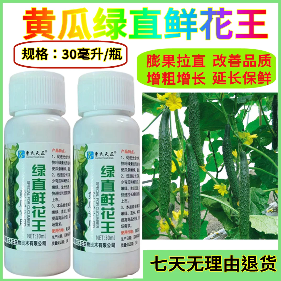 黄瓜快速拉长拉直延长保鲜提亮增色叶面肥腐植酸农肥