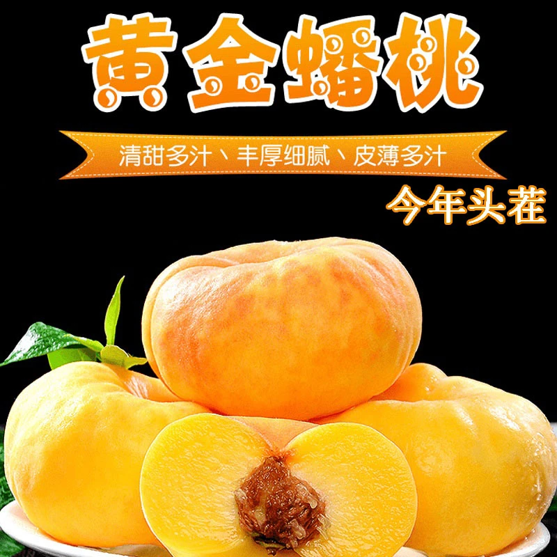 【新鲜采摘】山东黄金油蟠桃彩虹蟠桃新鲜水果脆甜多汁爽口扁桃YX
