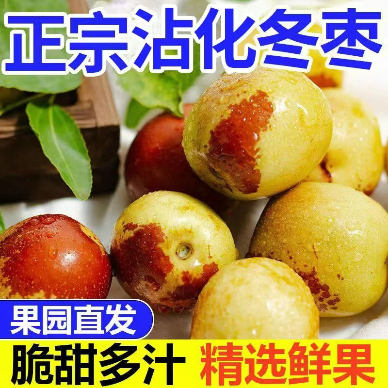现摘现发正宗沾化冬枣5斤装新鲜应季水果脆甜鲜枣脆枣整箱批发