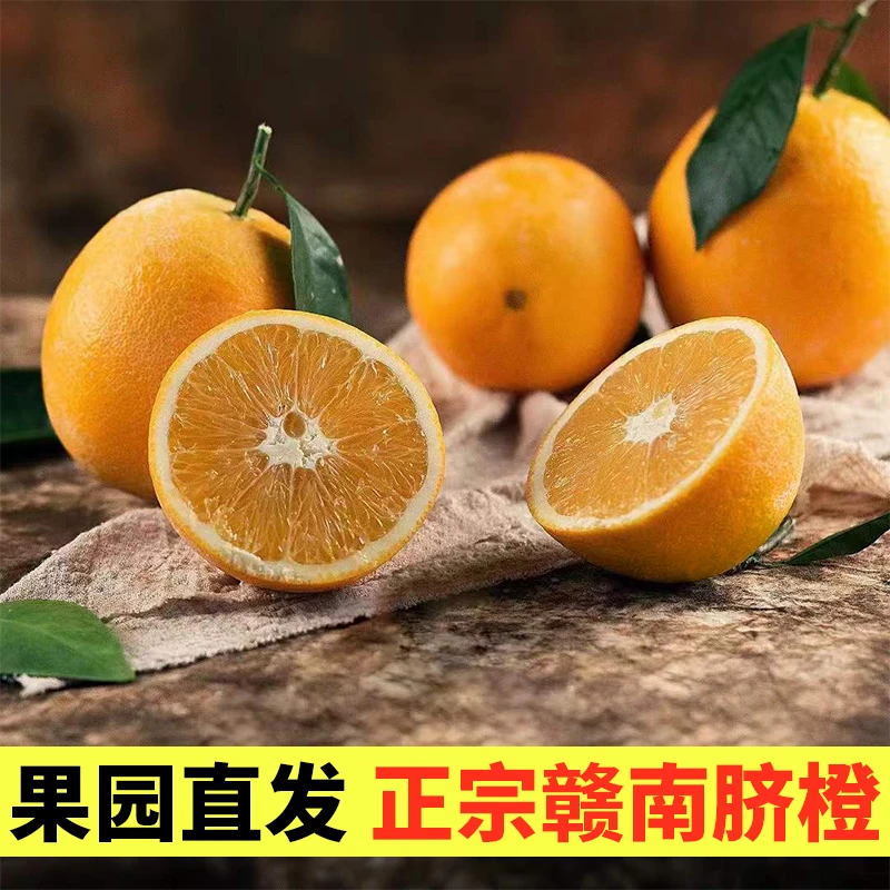 赣南脐橙正宗赣南脐橙新鲜采摘水果自家果园5斤10斤20斤装