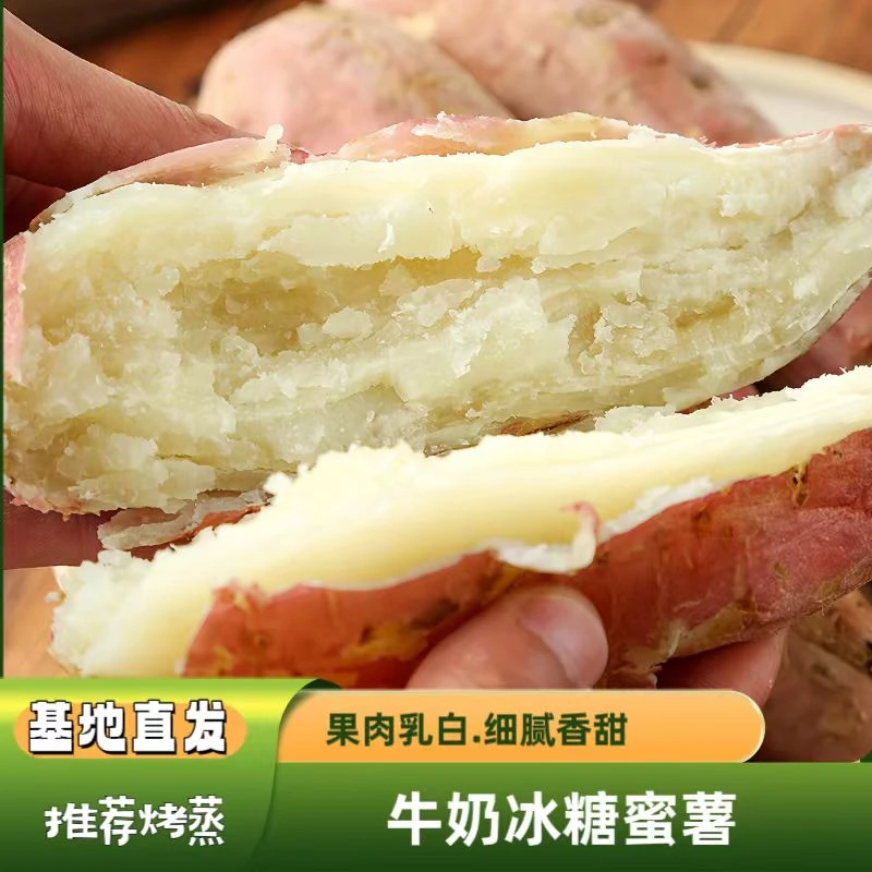 牛奶冰糖蜜薯5斤可烤可蒸冰糖薯红薯细腻香甜皮薄老少皆宜 辅食