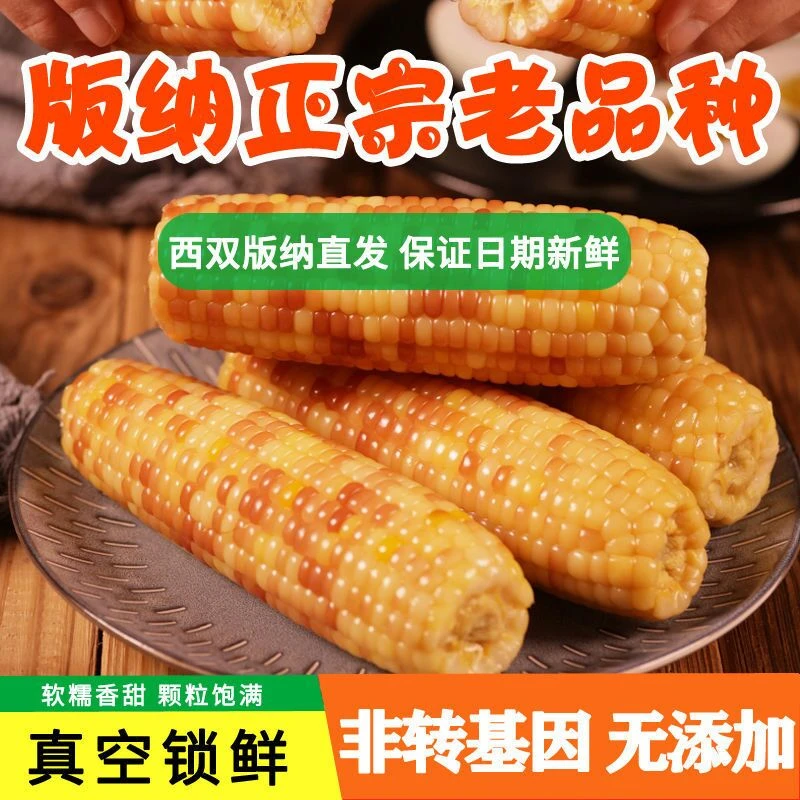 云南西双版纳香糯小玉米拇指玉米开袋即食免煮糯玉米棒真空装包