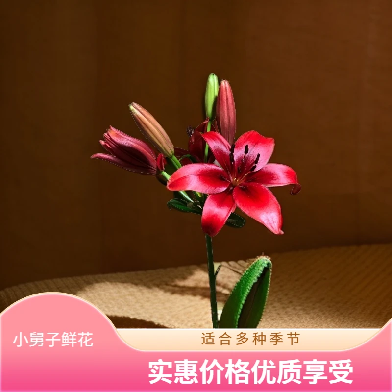 大红百合亚百鲜花无香味 一单也是顺丰发