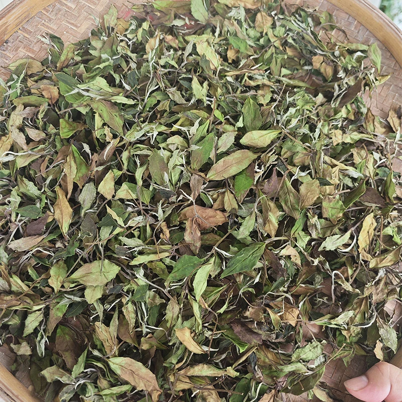 2019年秋白露【形制任选】政和•洞宫千米高山白茶