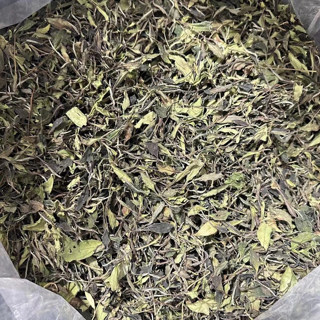 店庆【梅占精品春寿】三级牡丹白茶/纯日晒高山白茶【润爽清甜】
