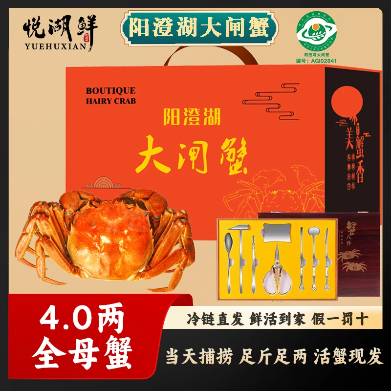精品阳澄湖大闸蟹塘蟹鲜活螃蟹礼盒全母蟹 4.0两 6/8/10只装