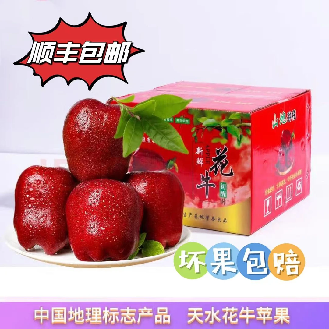 顺丰包邮 甘肃天水花牛苹果4.5-9斤新鲜采摘红色脆甜现摘现发