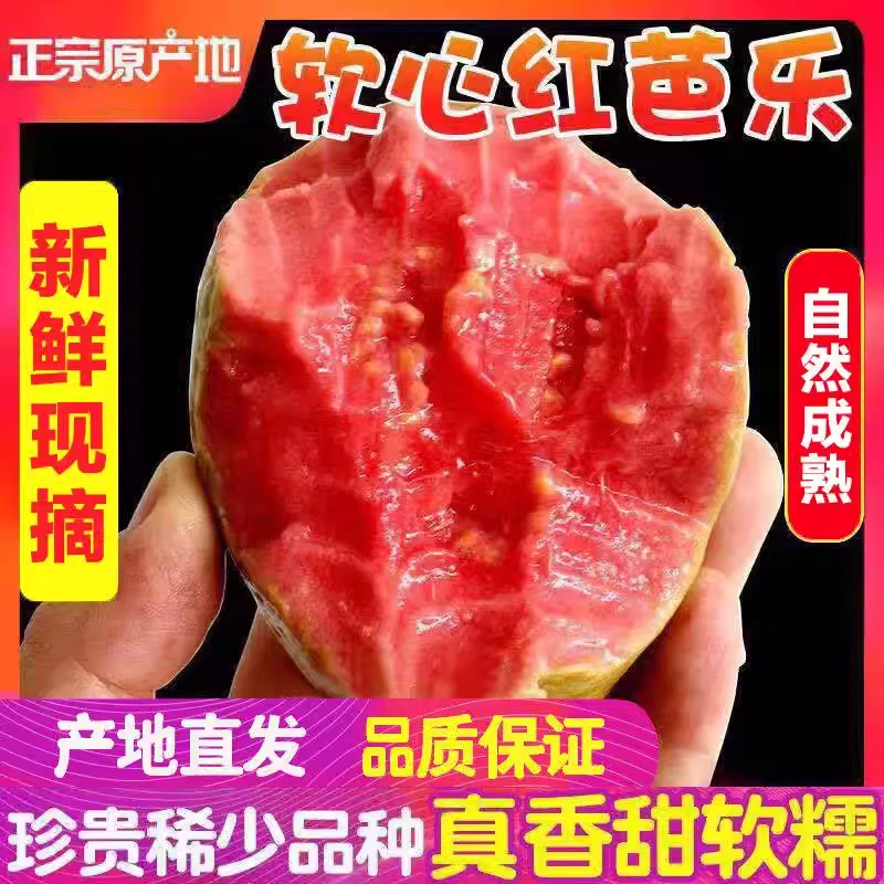 果园种植新鲜采摘胭脂西瓜红心番石榴清甜绵软心奶油冰淇淋芭乐果