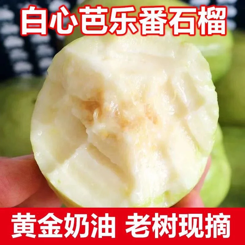 广东农产品软糯冰淇淋奶油白心芭乐番石榴整箱包邮赔新鲜水果香甜