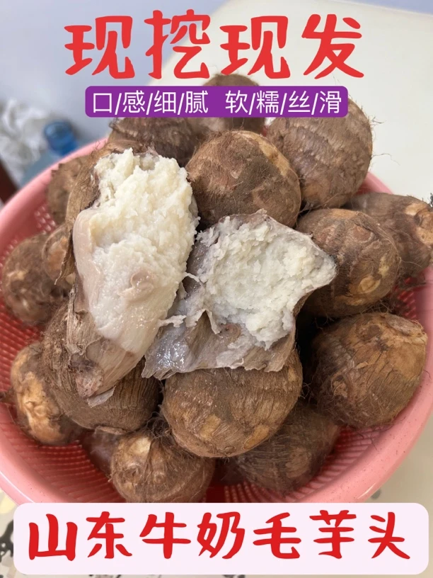 秋日尝鲜正宗山东牛奶毛芋头农家自种软糯奶香芋奶小香芋香芋芋头