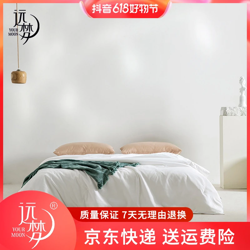 远梦高端蚕丝被四季被芯加厚保暖冬被家用春秋被双人四季被简约