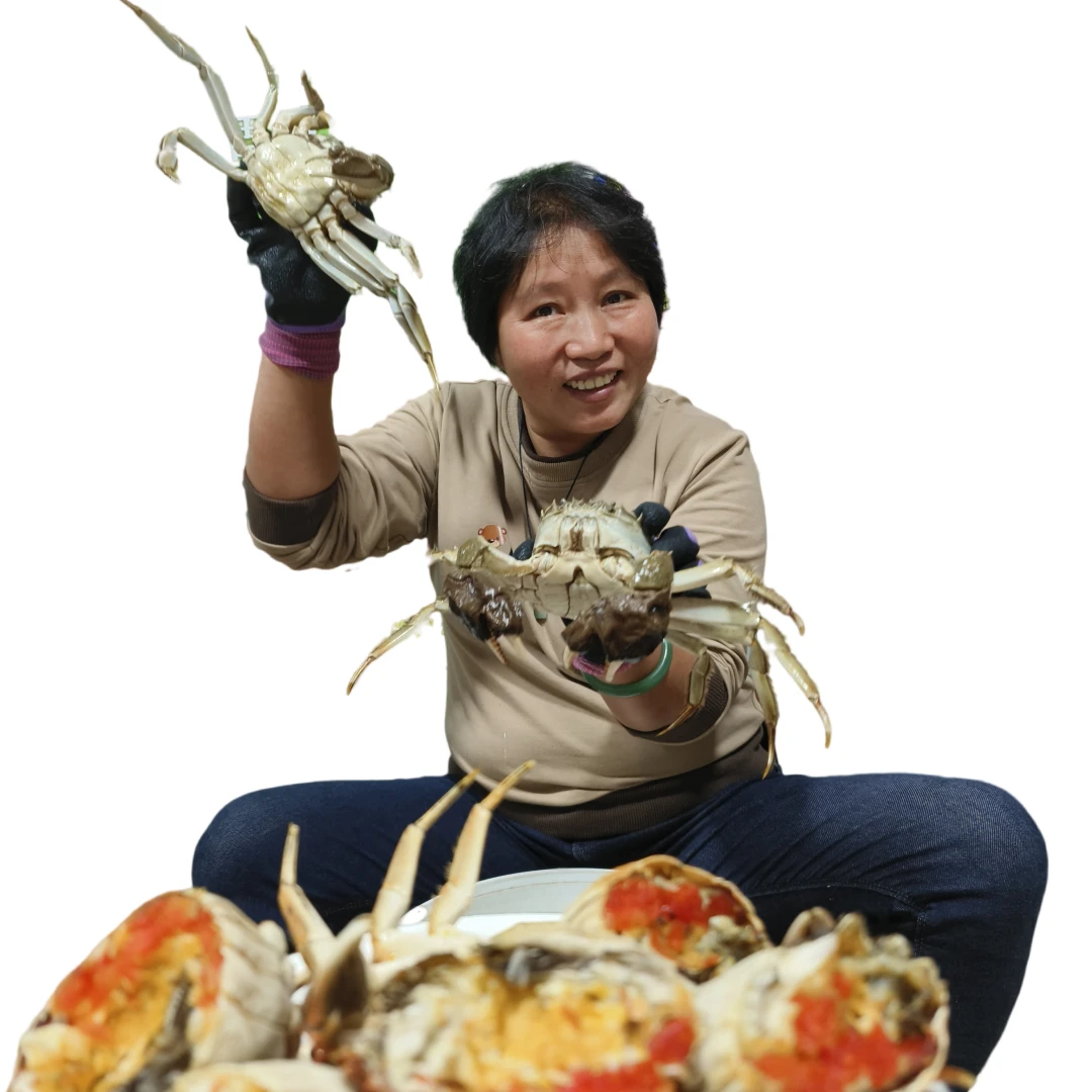 活蟹顺丰自家吃蟹款】11只3斤固城湖大闸蟹公蟹3-3.3两母蟹2-2.3两