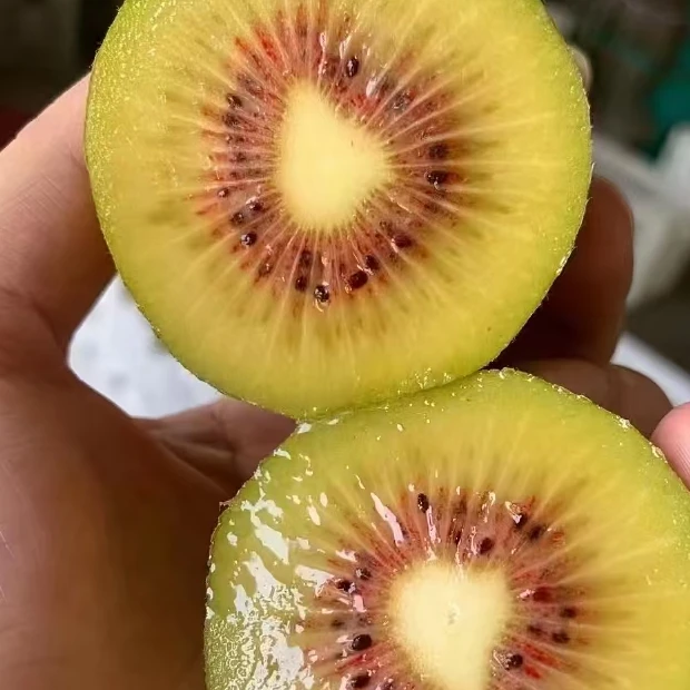 四川德阳什邡红心猕猴桃10个/20个新鲜香甜多汁自然成熟