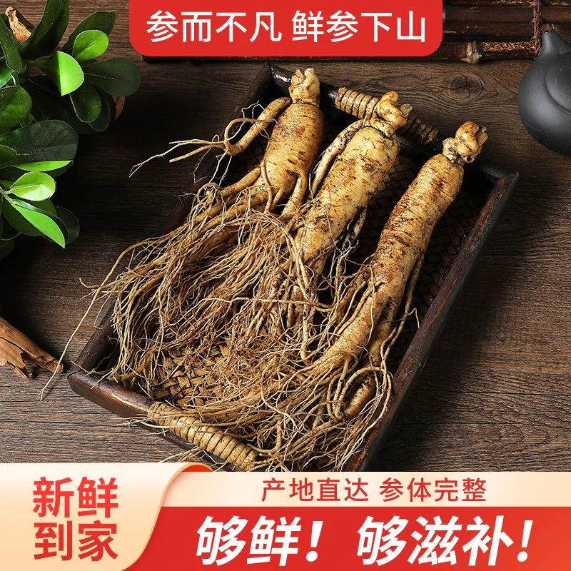 【两只装】正宗长白山鲜人参泡酒炖汤滋补东北滋补生晒林下参煲汤用