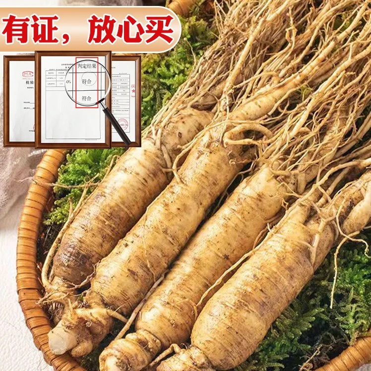 正宗鲜人参长白山参东北人参泡酒专用营养滋补新鲜人叁