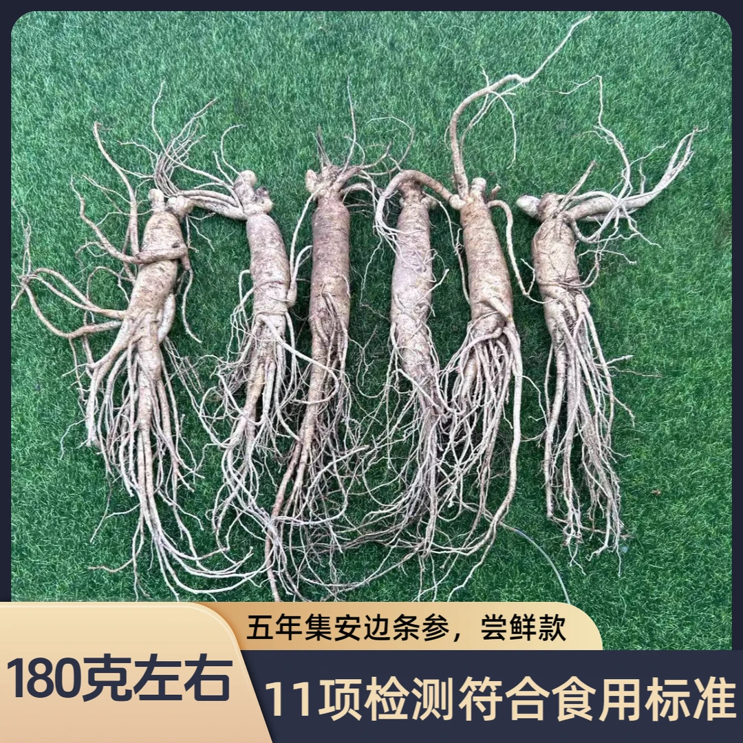 【尝鲜款-特惠】正宗长白山泡酒煲汤新鲜人参产地直发东北切片人参