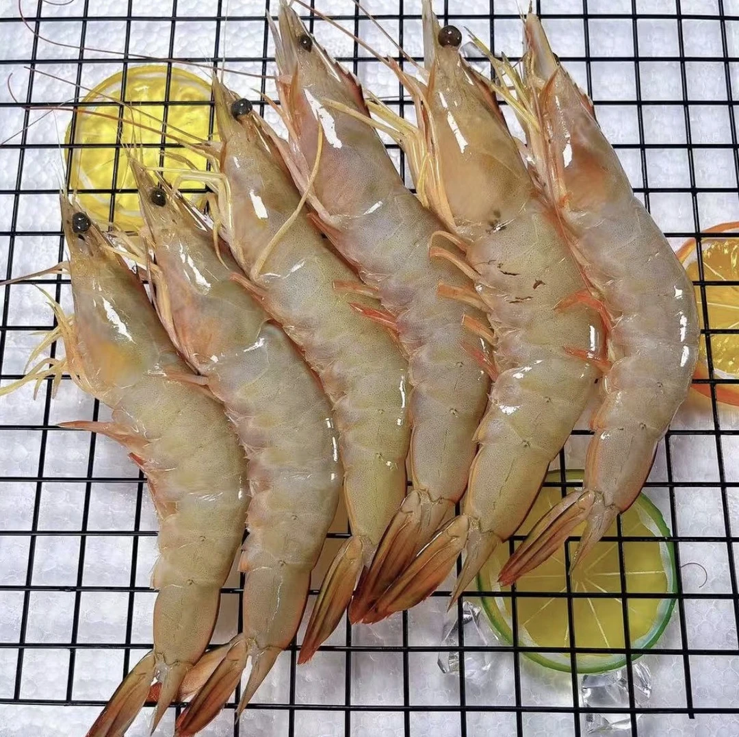 北部湾本港野生明虾（野生虾有沙属正常、介意勿拍！）