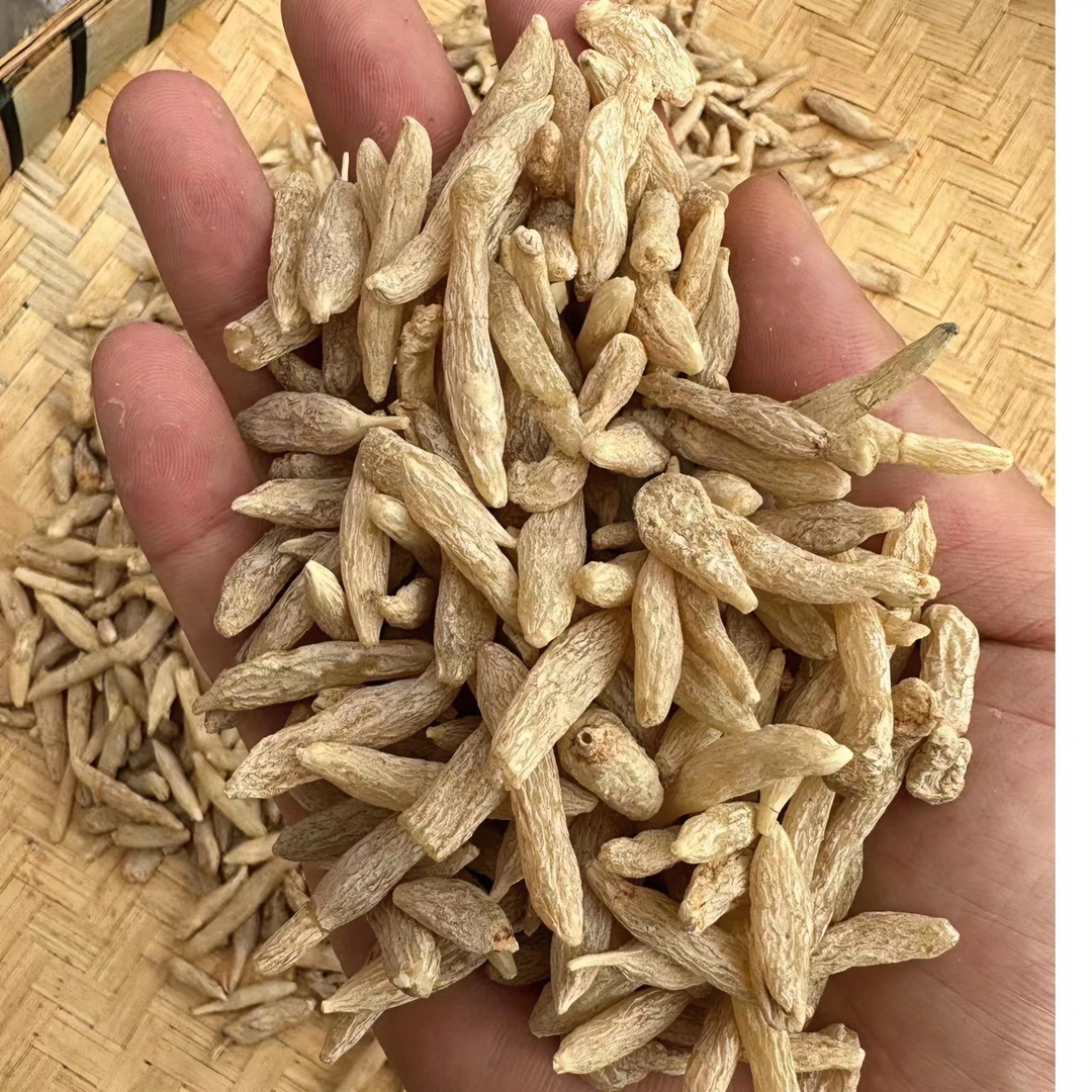 云南现收山货 麦冬250克 非西洋参AA