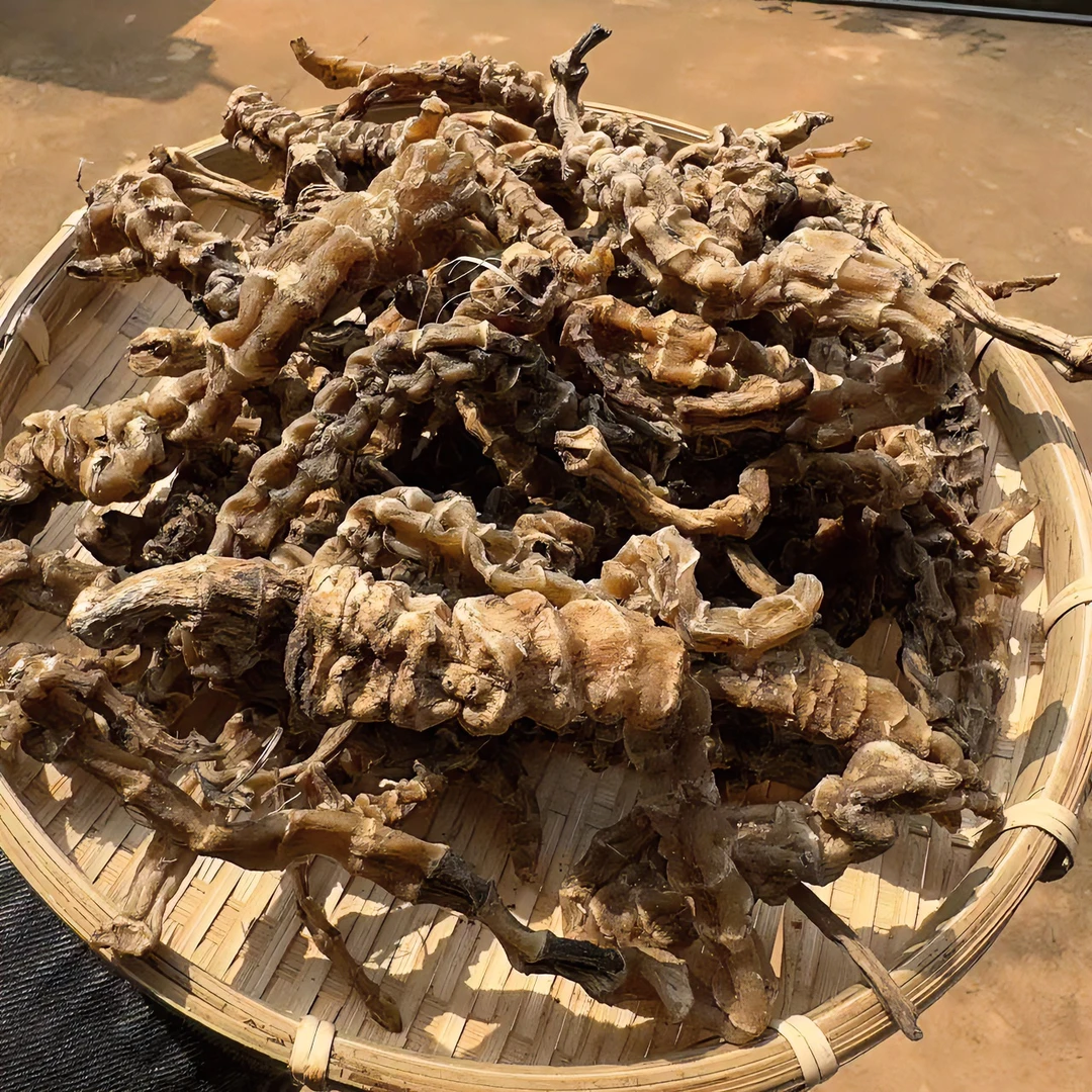 云南现收山货 虫草参 500克  非西洋参AA1