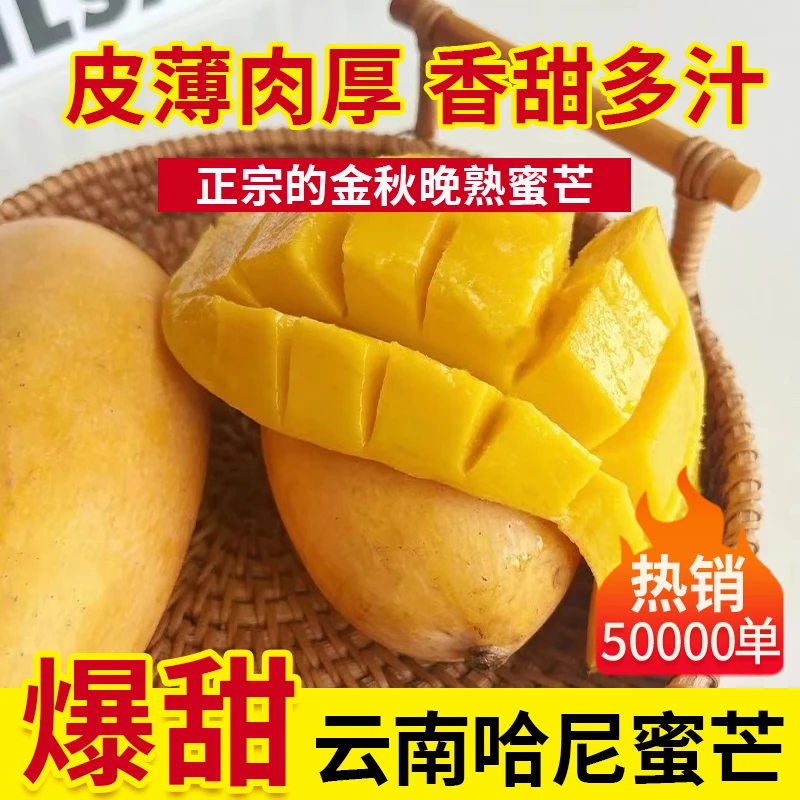 云南金秋晚芒应季水果孕妈妈可吃肉多汁多基地现采直发包邮