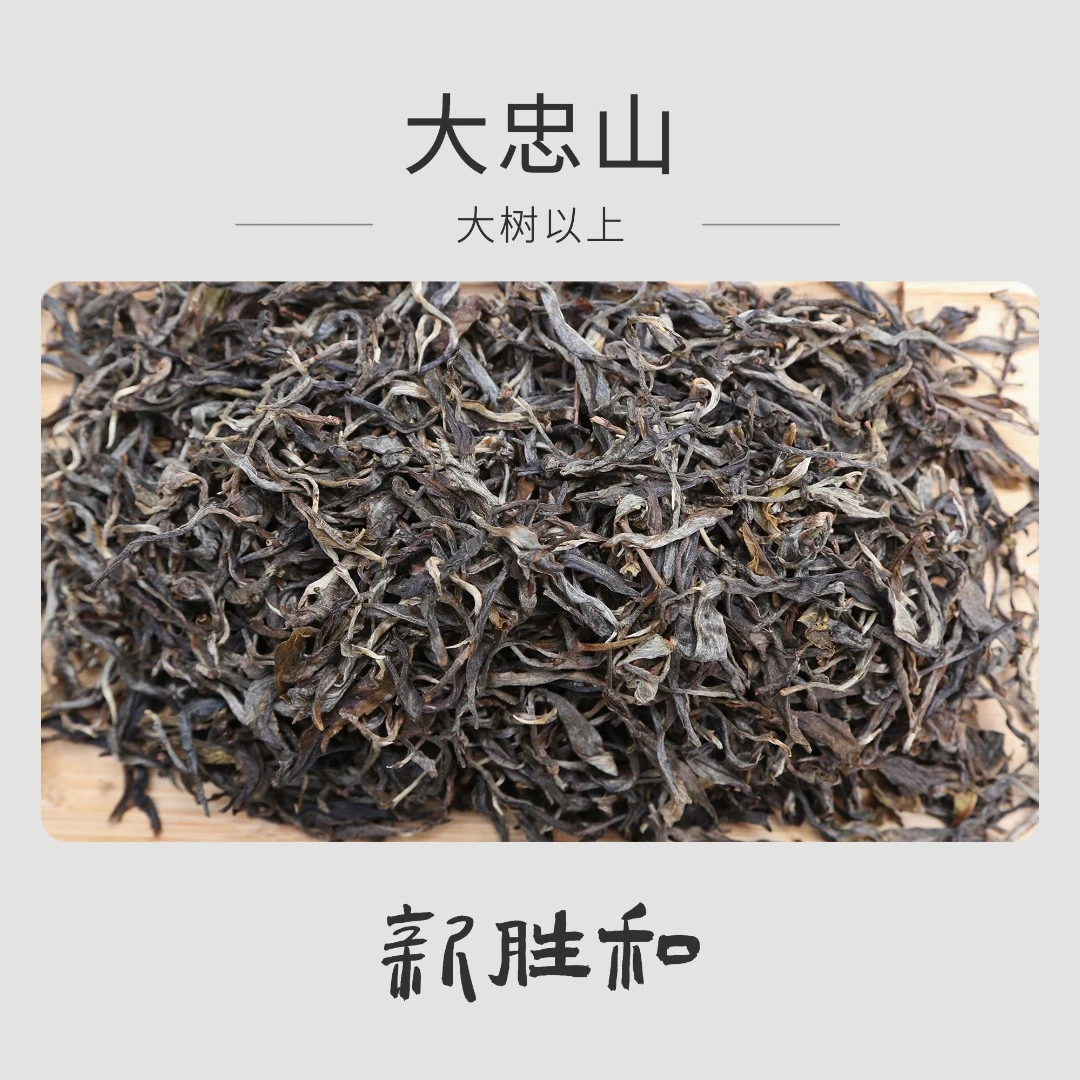 【大忠山2022大树】春茶生茶 长期储存 普洱茶 临沧散茶 新胜和